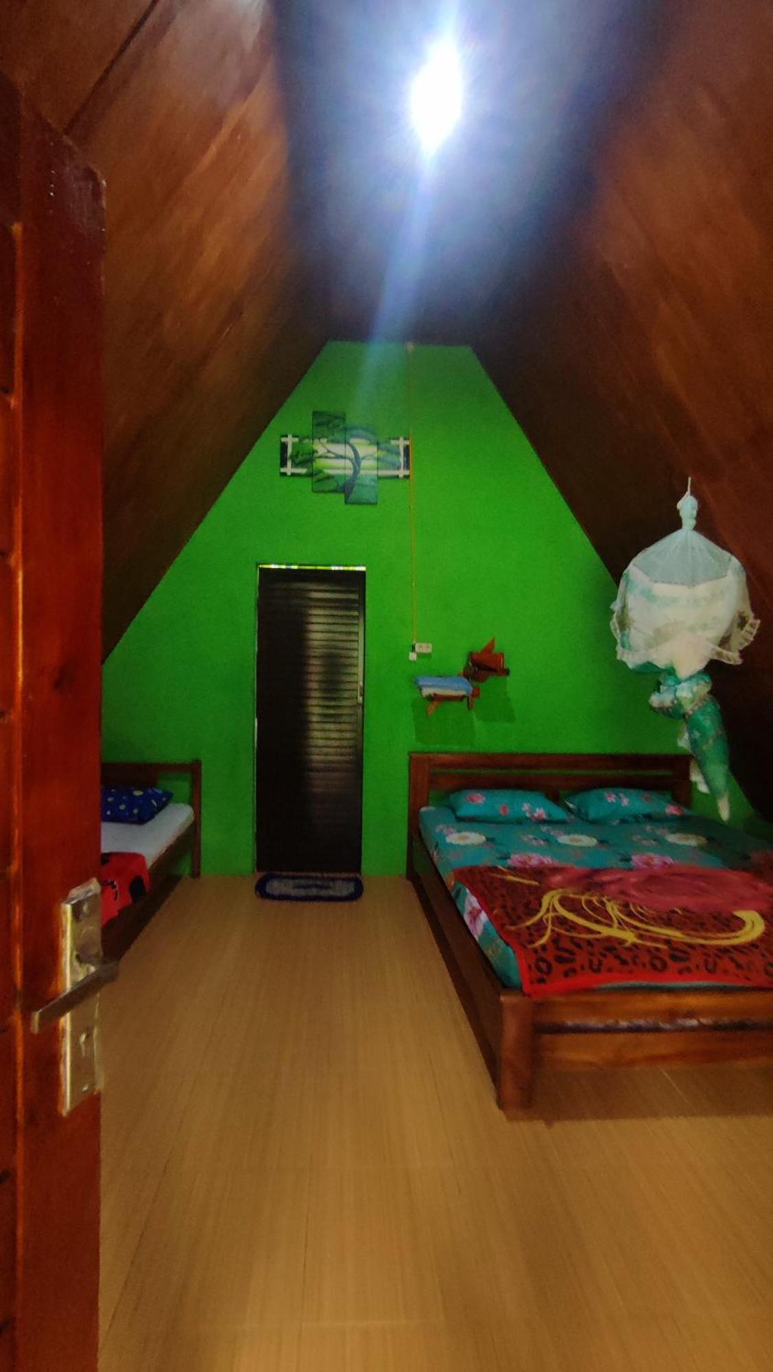 Green Forest Tangkahan Pokoj fotografie