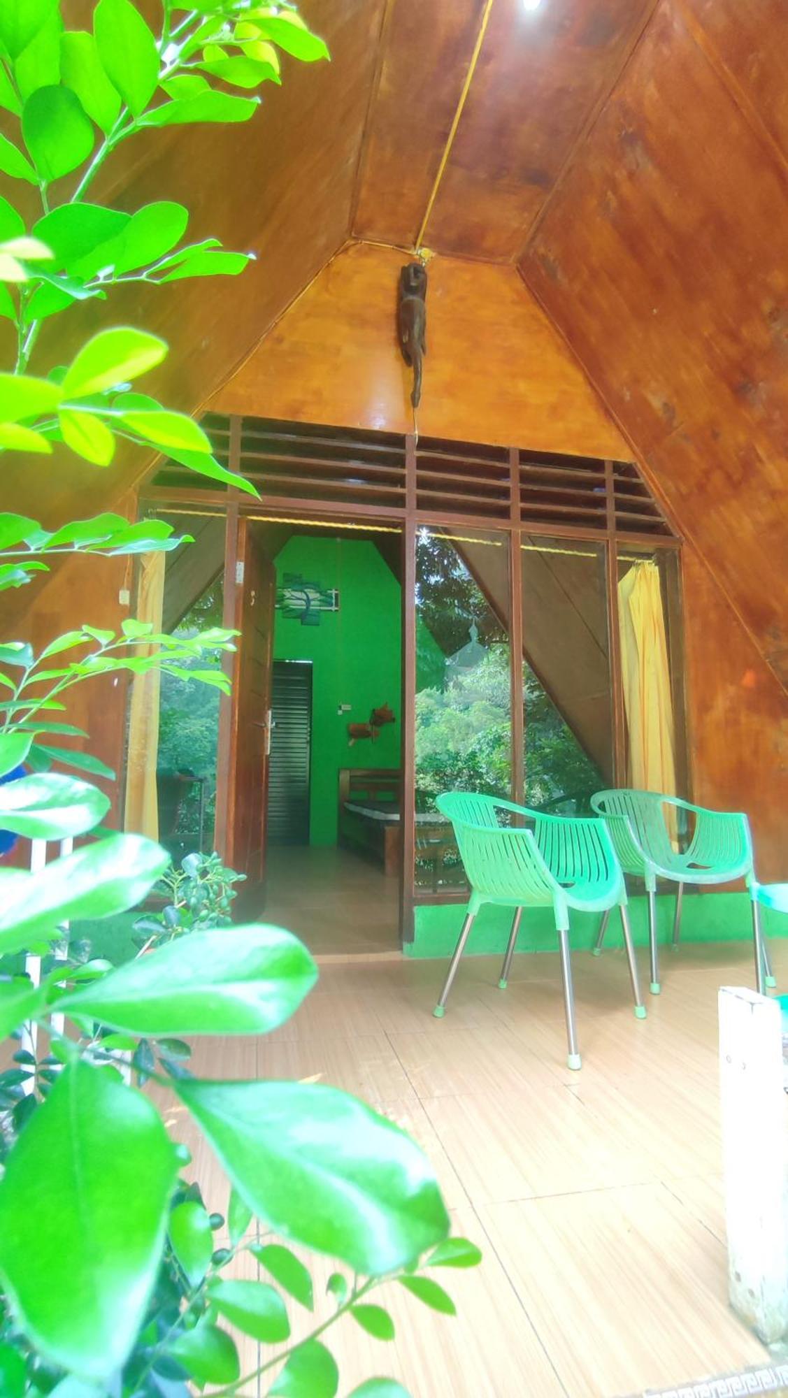 Green Forest Tangkahan Pokoj fotografie